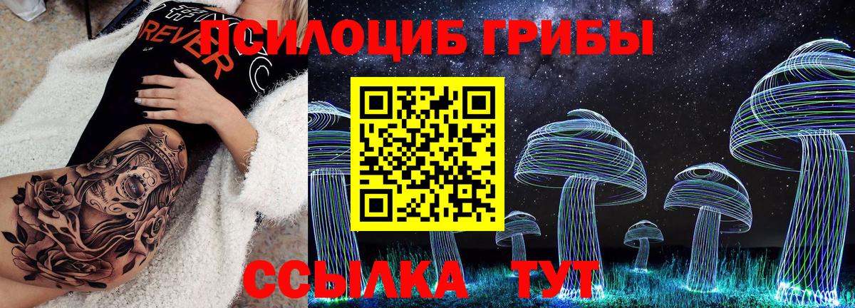 Галлюциногенные грибы Psilocybine cubensis  Вход с VPN  Лабинск 