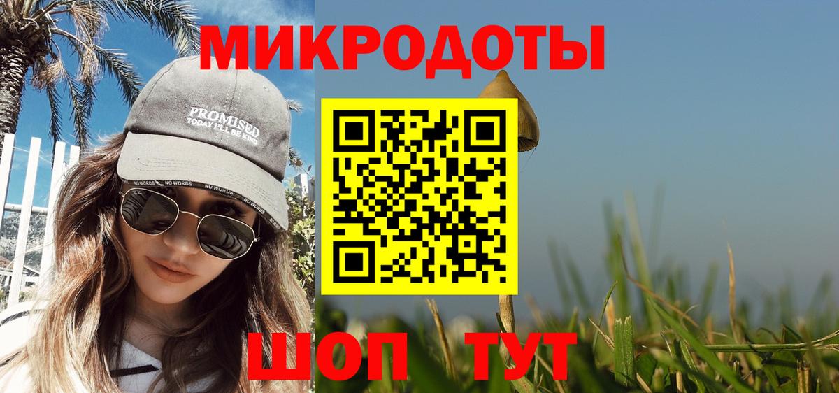 Псилоцибиновые грибы Cubensis Лабинск